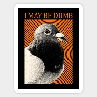 I May Be Dumb Pigeon Magnet